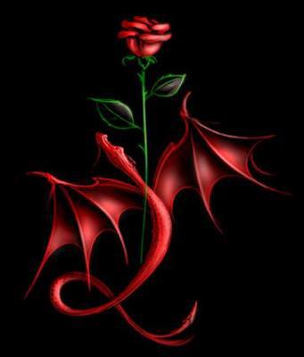 rose avec un dragon