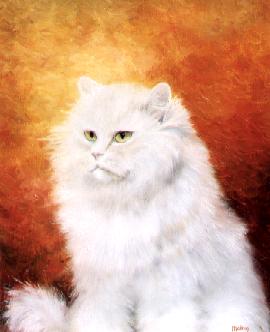 chat