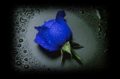 .*.+.*.+.*.+.*.+.*.PoUr ToU$ Me$ AmI$(E$),Mon Chéri,Ma FaMie.*.+.*.+.*.+.*.+.*.