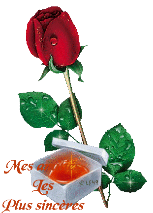 belle fleure