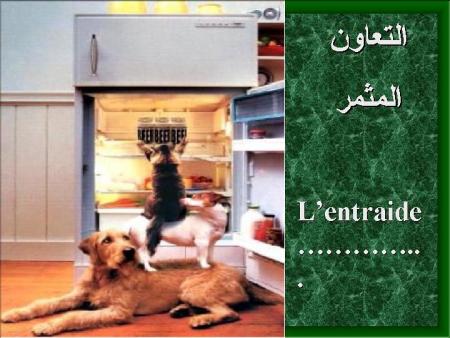 www.benamr.tk
