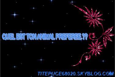 www.maroc-club.tk
