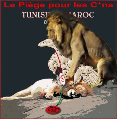 www.benamr