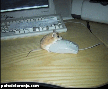www.benamr.tk
